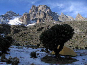 4 Days Mt. Kenya Sirimon Naromoru Route with Africa Alpine Expeditions