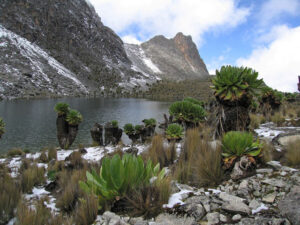 6 Days Mt. Kenya Sirimon Naromoru Route with Africa Alpine Expeditions
